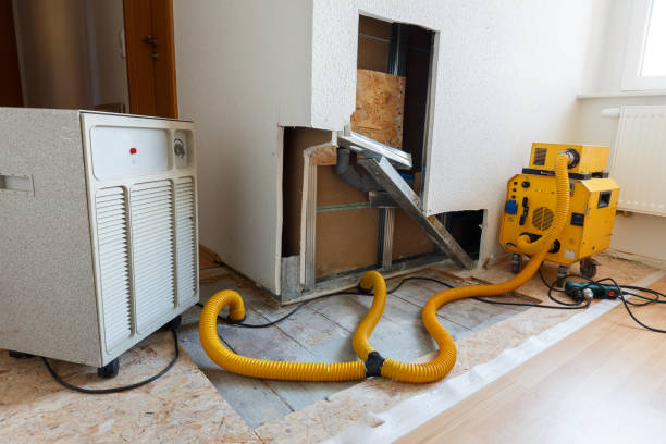 Best Attic Mold Removal  in Burnet, TX