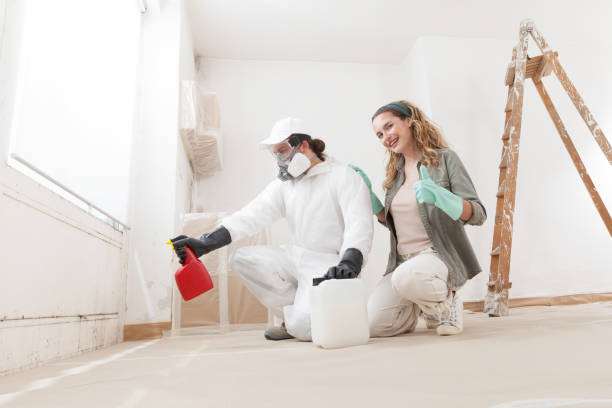 Best Residential Mold Inspection & Testing  in Burnet, TX